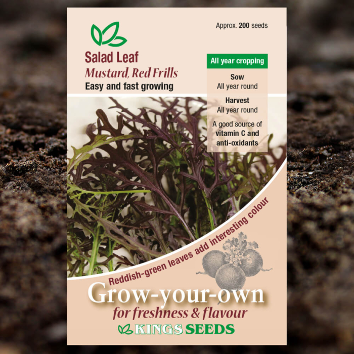 Salad Seeds - Leaf Mustard Red Frills