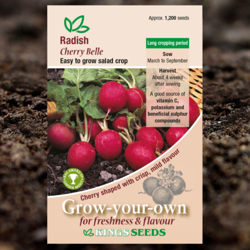 Salad Seeds - Radish Cherry Belle