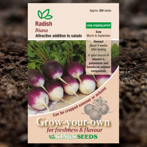 Salad Seeds - Radish Diana