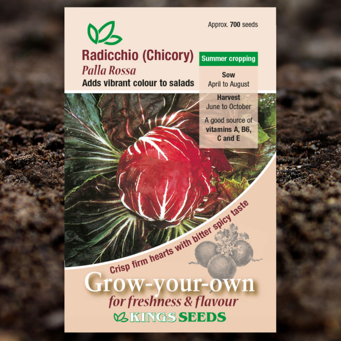 Vegetable Seeds - Radicchio - Chicory Palla Rossa