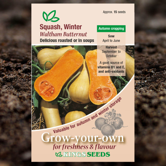 Fruit Seeds - Squash Winter Waltham Butternut