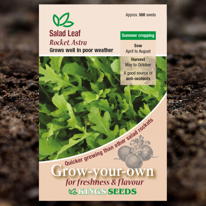 Salad Seeds - Leaf Rocket Astra