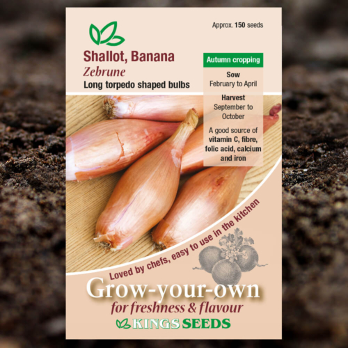 Vegetable Seeds - Shallot Banana Zebrune
