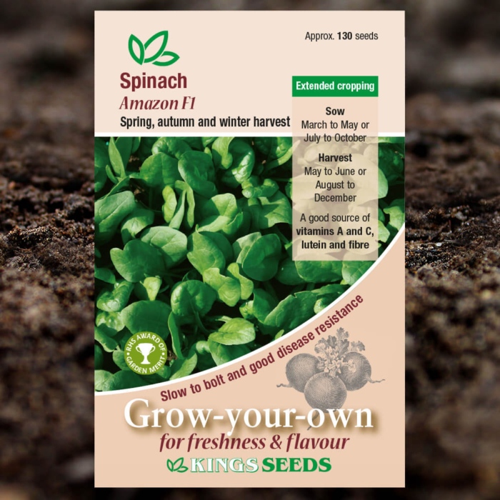 Vegetable Seeds - Spinach Amazon F1