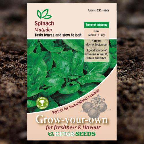 Vegetable Seeds - Spinach Matador