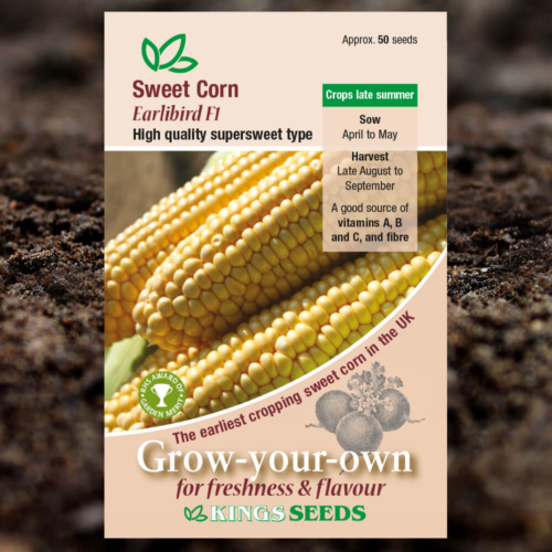 Vegetable Seeds - Sweet Corn Earlibird F1
