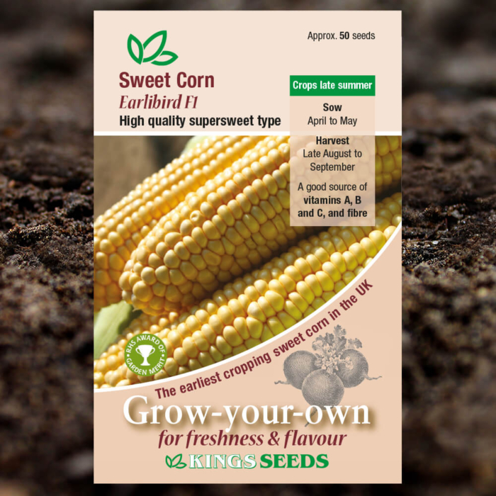 Vegetable Seeds - Sweet Corn Earlibird F1