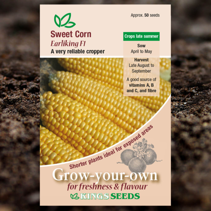 Vegetable Seeds - Sweet Corn Earliking F1