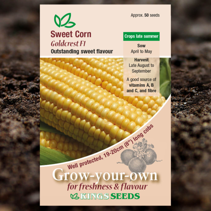 Vegetable Seeds - Sweet Corn Goldcrest F1