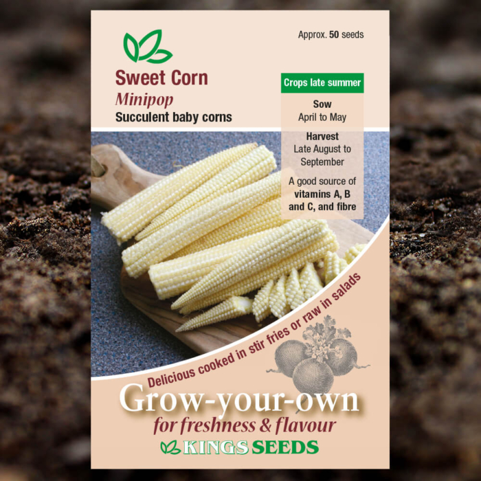 Vegetable Seeds - Sweet Corn Minipop