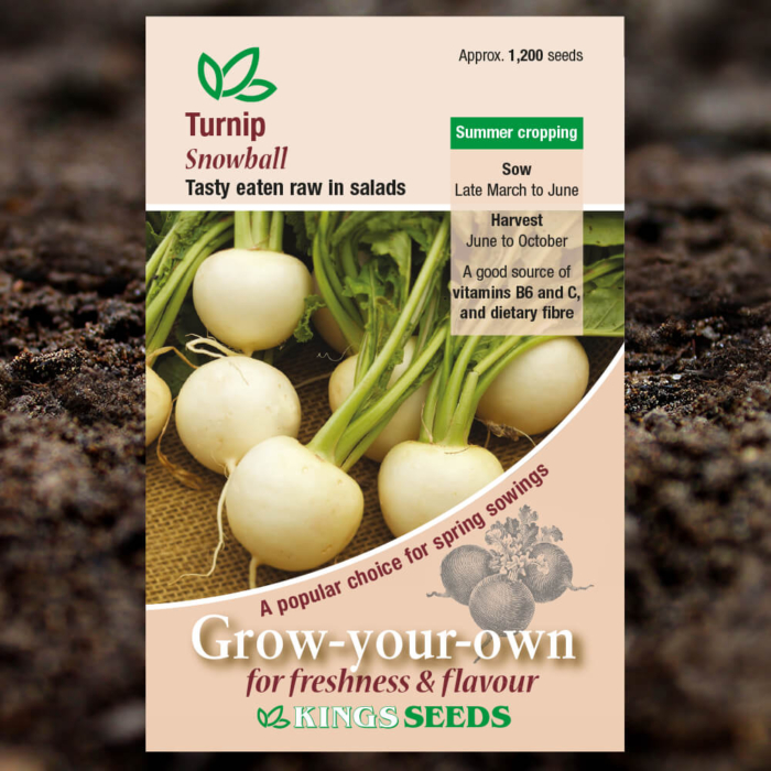 Vegetable Seeds - Turnip Snowball