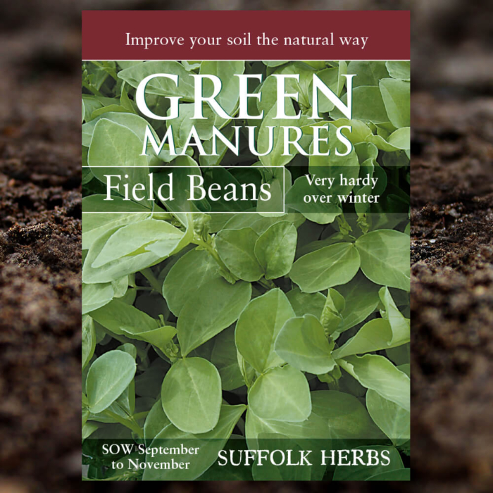 Green Manure - Field Beans