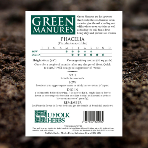 Green Manure - Phacelia - Pack Reverse