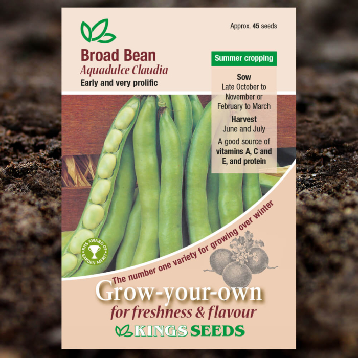 Vegetable Seeds - Broad Bean Aquadulce Claudia
