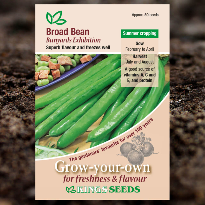 Vegetable Seeds - Broad Bean Bunyards Exhibition