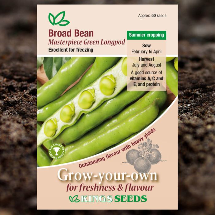Vegetable Seeds - Broad Bean Masterpiece Green Longpod