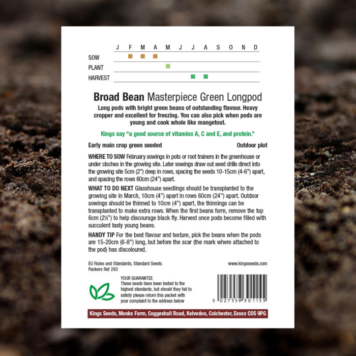 Vegetable Seeds Broad Bean Masterpiece Green Longpod Pack Reverse