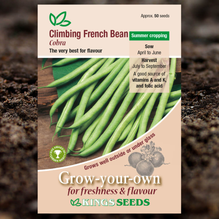 Vegetable Seeds - Climbing French Bean Cobra