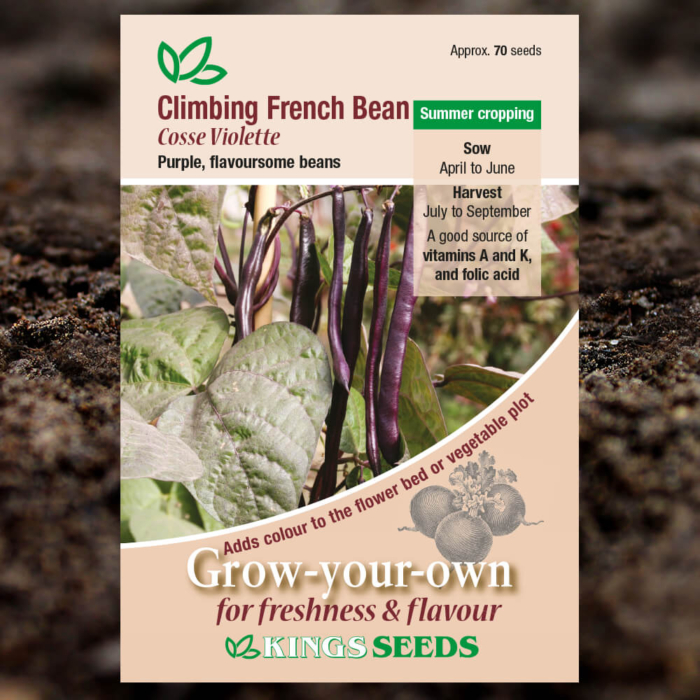 Vegetable Seeds - Climbing French Bean Cosse Violette