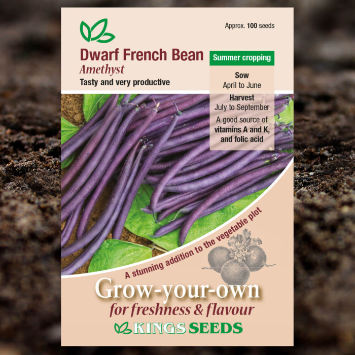 Vegetable Seeds - Dwarf French Bean Amethyst