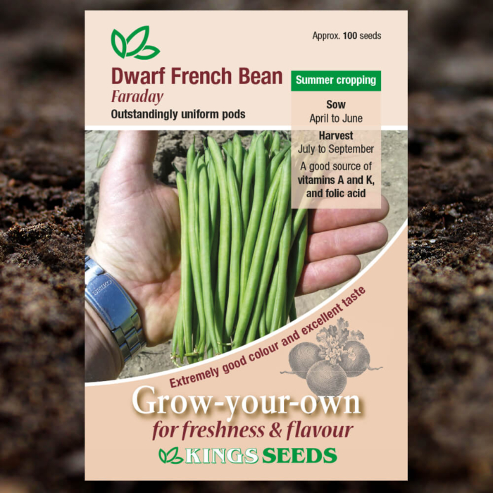 Vegetable Seeds - Dwarf French Bean Faraday