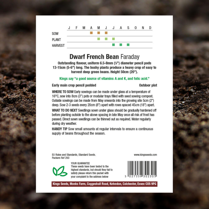 Vegetable Seeds - Dwarf French Bean Faraday - Pack Reverse