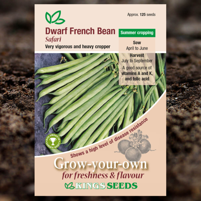 Vegetable Seeds - Dwarf French Bean Safari