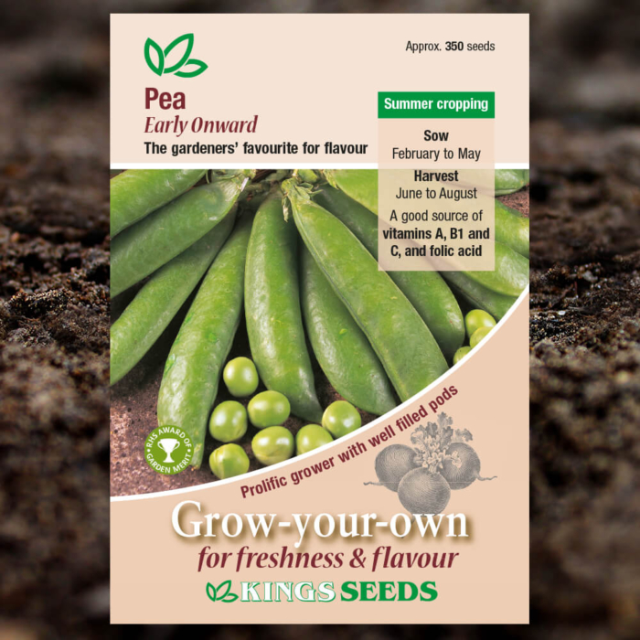 Vegetable Seeds - Pea Early Onward