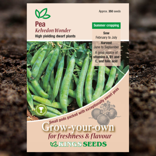 Vegetable Seeds - Pea Kelvedon Wonder