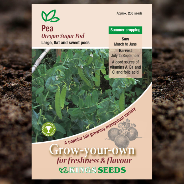 Vegetable Seeds - Pea Oregon Sugar Pod