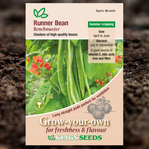 Vegetable Seeds - Runner Bean Benchmaster