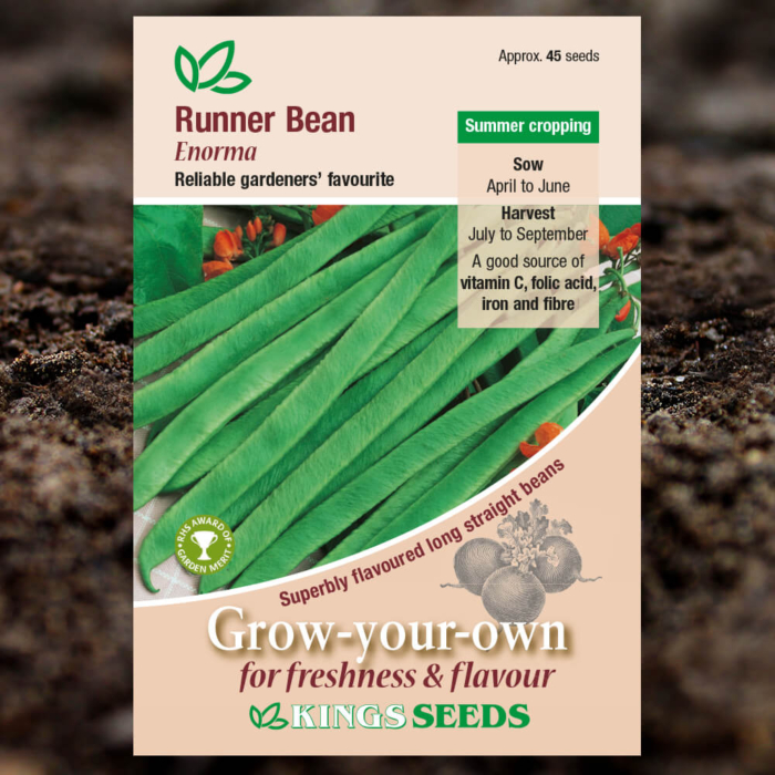 Vegetable Seeds - Runner Bean Enorma