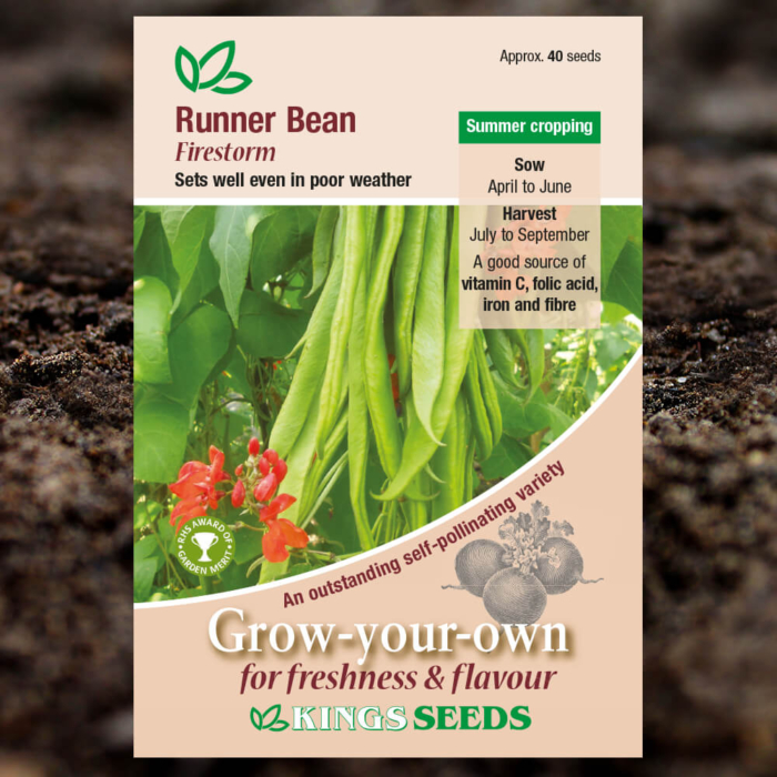 Vegetable Seeds - Runner Bean Firestorm