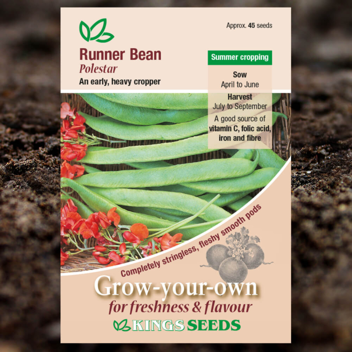Vegetable Seeds - Runner Bean Polestar