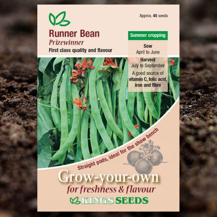 Vegetable Seeds - Runner Bean Prizewinner