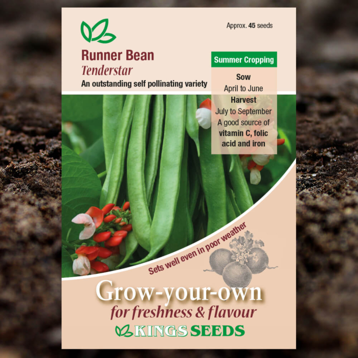 Vegetable Seeds - Runner Bean Tenderstar