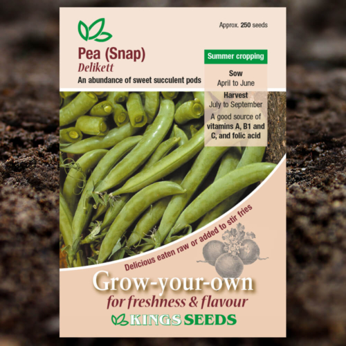 Vegetable Seeds - Sugar Snap Pea - Delikett