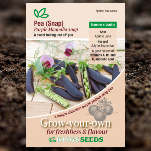 Vegetable Seeds - Sugar Snap Pea - Purple Magnolia Snap