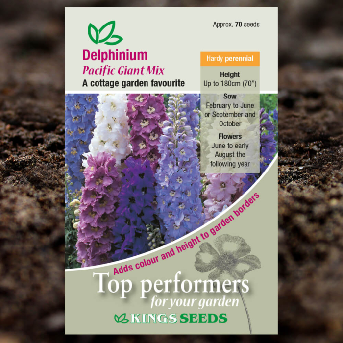 Ornamental Seeds - Delphinium Pacific Giant Mix