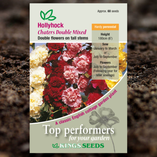 Ornamental Seeds - Hollyhock Chaters Double Mixed