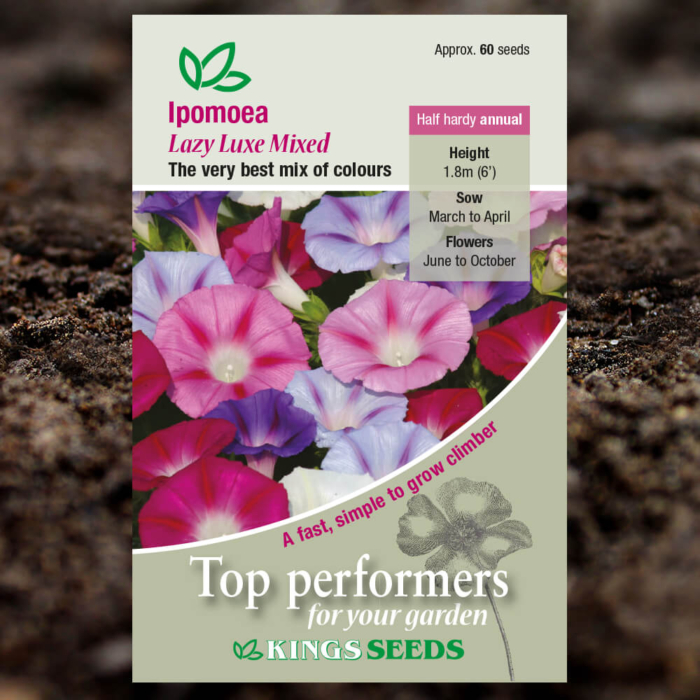 Ornamental Seeds - Ipomoea Lazy Luxe Mixed