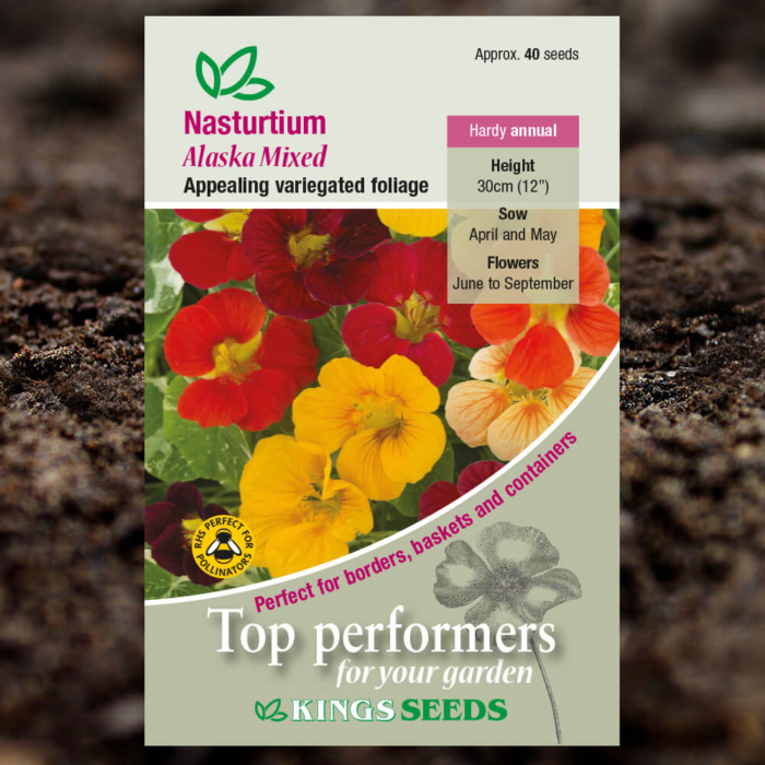 Ornamental Seeds - Nasturtium Alaska Mixed