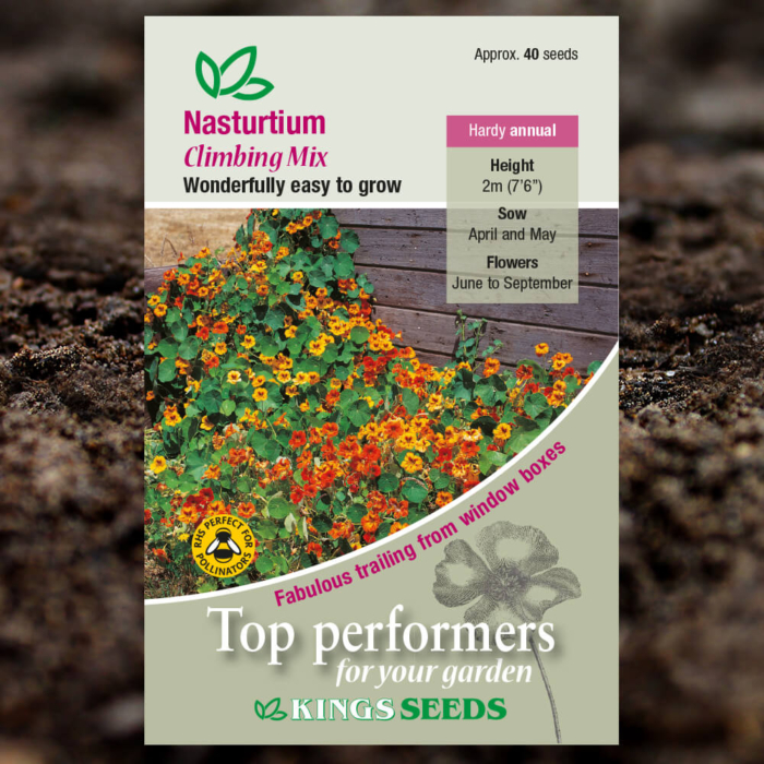 Ornamental Seeds - Nasturtium Climbing Mix