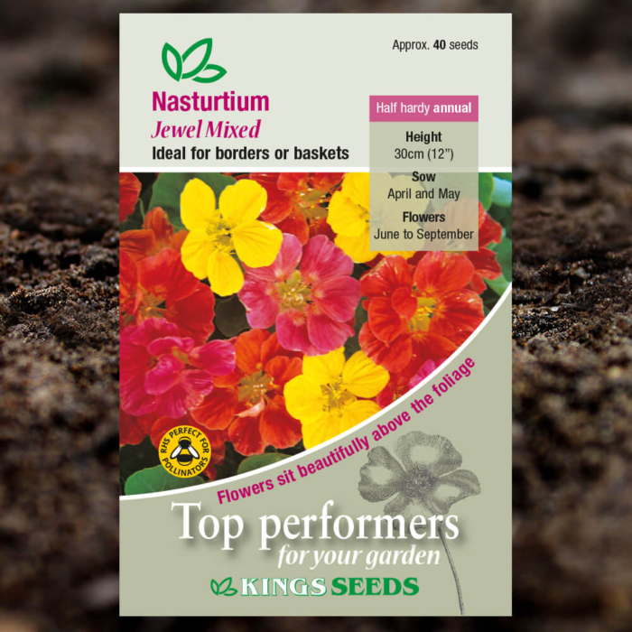 Ornamental Seeds - Nasturtium Jewel Mixed