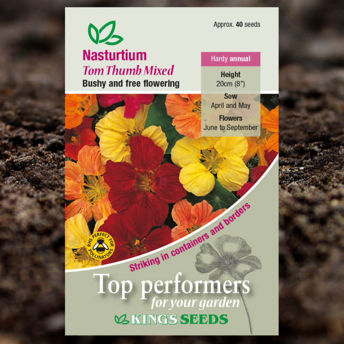 Ornamental Seeds - Nasturtium Tom Thumb Mixed