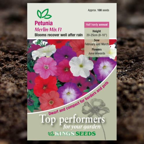 Ornamental Seeds - Petunia Merlin Mixed F1
