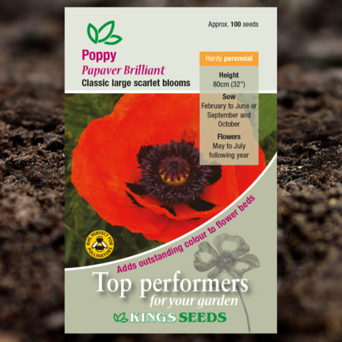 Ornamental Seeds - Poppy Papaver Brilliant