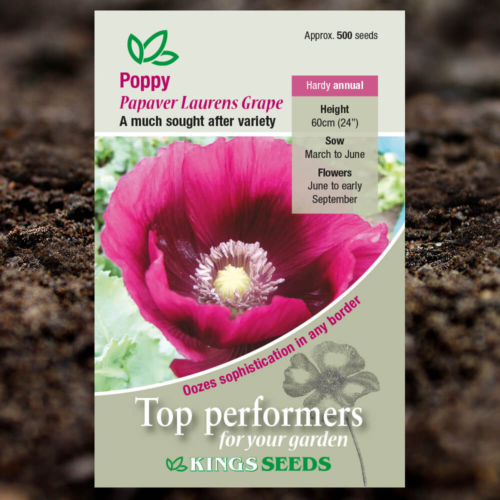 Ornamental Seeds - Poppy Papaver Laurens Grape
