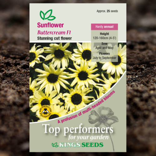 Ornamental Seeds - Sunflower Buttercream F1