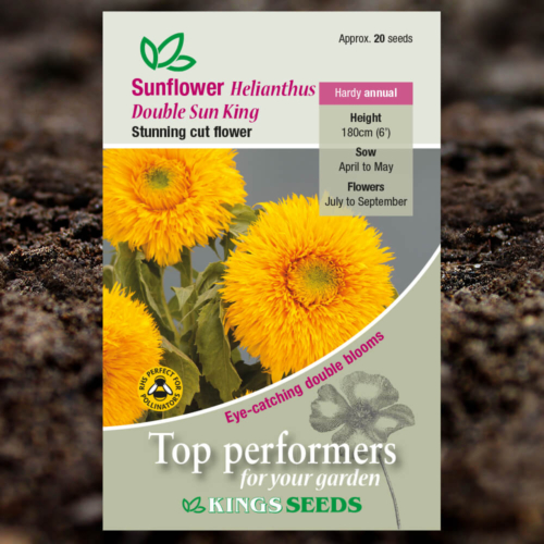 Ornamental Seeds - Sunflower Helianthus Double Sun King